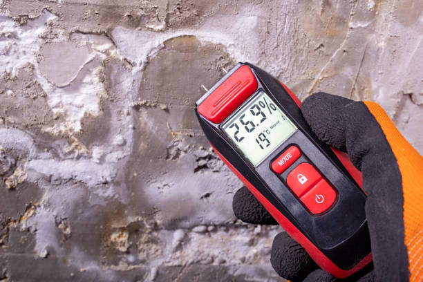 Best Mold Removal Near Me  in Brentwood, PA